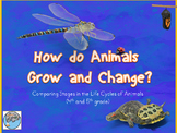 Animal Lifecycles PowerPoint and Student Interactive Noteb
