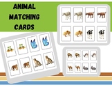 Animal Matching Cards