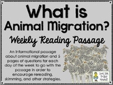 Animal Migration - Animal Actions - Weekly Reading Passage