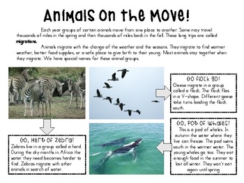 Preview of Animal Migration Science Article & Question Set