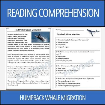 Preview of Animal Migration: Humpback Whale - Reading Comprehension Activity