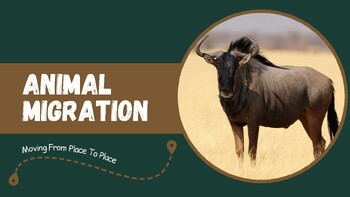 Preview of Animal Migration Presentation