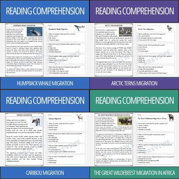 Preview of Animal Migration - Reading Comprehension Activity BUNDLE