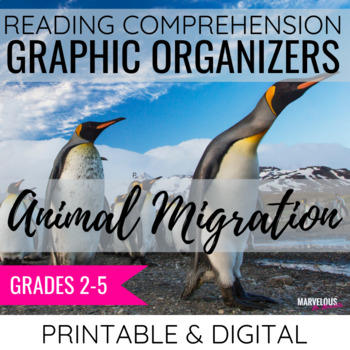 What is Animal Migration | Informational Text Worksheets | Distance Learning