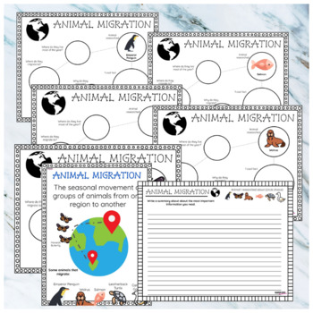 What is Animal Migration | Informational Text Worksheets | Distance Learning