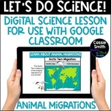 Animal Migrations Google Slides Interactive Science Lesson