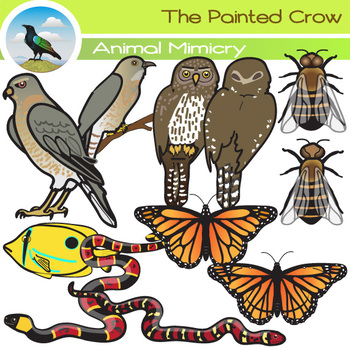 Animal Mimicry Clip Art by The Painted Crow | TPT