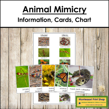 Animal Mimicry Teaching Resources | TPT