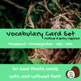 Animal Mothers and Babies | Vocabulary Activity | Photo Cards