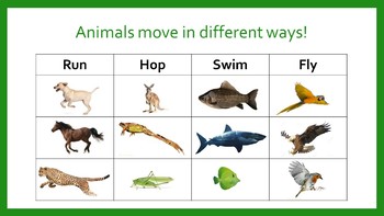 Animal Movement by Miss Cate's TpT | TPT