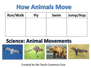 Preview of Animal Movement How Animals Move Science Station Activity