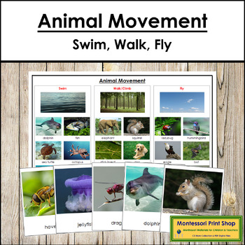 Animal Movement - Swim, Walk, Fly by Montessori Print Shop | TpT