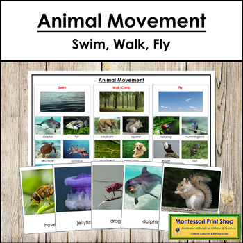 Preview of Animal Movement (Swim, Walk & Fly) Sorting Cards & Control Chart