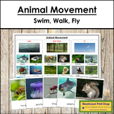 Animal Movement (Swim, Walk & Fly) Sorting Cards & Control Chart