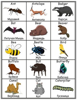 Preview of Animal Name' English/Russian Flash Cards, School Vocabulary Word walls Printable