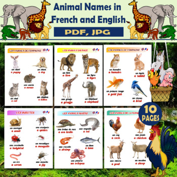 Animal Names In French Teaching Resources | TPT