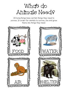 Kindergarten Worksheet Animal Basic Needs