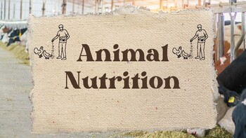 Preview of Animal Nutrition