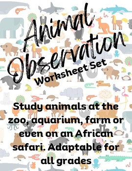 Preview of Animal Observation Worksheet, Zoo, Aquarium, Farm, Habitat, Field Trip Printable
