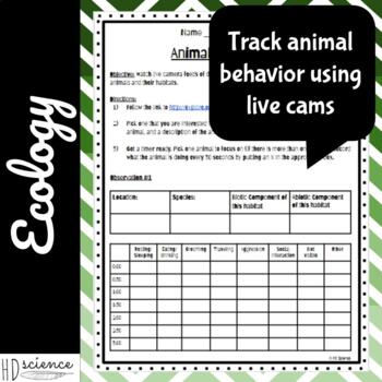 Animal Behavior Observations Using Live Cams for Middle School Science- PDF