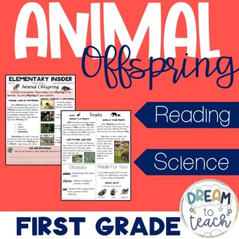 Preview of Animal Offspring - Traits & Animal Parents - CCSS & NGSS