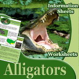 Animal Outlines: Alligators