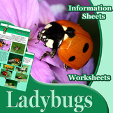 Animal Outlines: Ladybugs