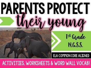 Preview of Animal Parents Protect Their Young- 1st Grade- NGSS Life Science ( 1-LS1-2 )
