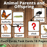 Animal Parents and Offspring-Baby Animals and their Parent