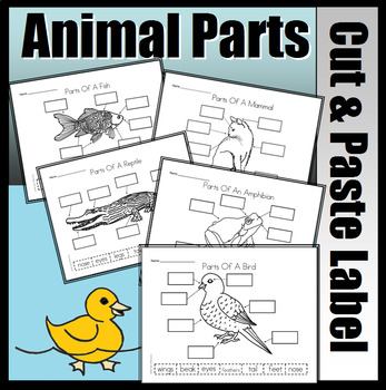 Preview of Animal Parts Cut & Paste Worksheet Set (Mammal, Fish, Reptile, Amphibian, Bird)