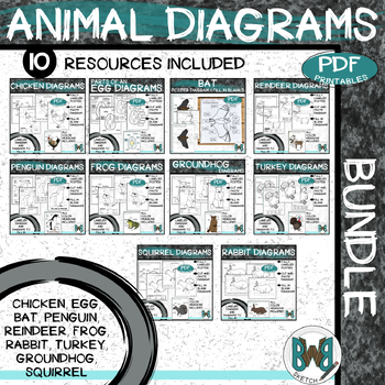 Preview of Animal Parts Diagrams Bundle
