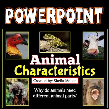 Preview of Animal Characteristics PowerPoint, Parts of Animals, Animal Unit