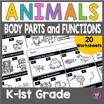 Preview of Animal Body Parts Worksheets - Structures and Functions of Animals 1st Grade