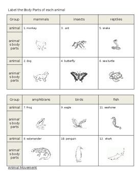 Animal Parts and Movements by Kunde Josianne | TPT