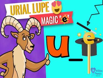 Preview of Animal Phonics Long Vowel Magic E / u_e  /  Lesson #31