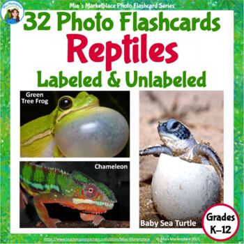Preview of 32 Animal Photo Flashcards: Amphibians and Reptiles