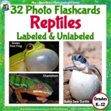 32 Animal Photo Flashcards: Amphibians and Reptiles