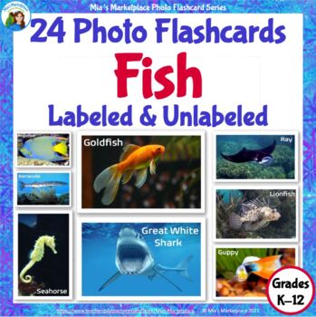 Preview of 24 Animal Photo Flashcards: Fish