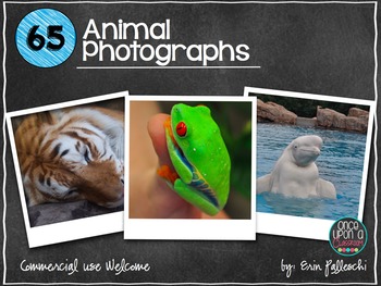 Preview of Animal Photographs - Commercial Use Ok!