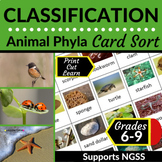 Animal Phyla | Classification | Card Sort