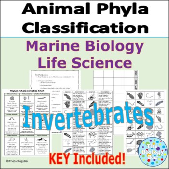 Animal Phyla Classification Invertebrates Marine Biology by The Biology Bar
