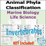 Animal Phyla Classification Invertebrates Marine Biology