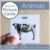 Animal Picture Cards | Real Life Photo Cards Visuals Autis