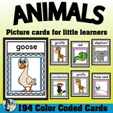 Animal Picture Cards for Little Learners