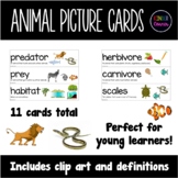 Animal Picture Vocabulary Cards