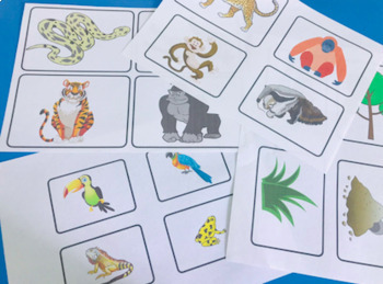 Preview of ANIMAL PICTURES CLIPART