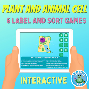 Plant Cell Label Worksheets Teaching Resources Tpt