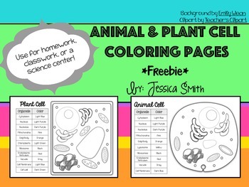 Preview of Animal and Plant Cell Match and Color Pages FREEBIE