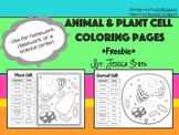 Animal and Plant Cell Match and Color Pages FREEBIE