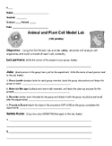 Animal & Plant Cell Model Lab